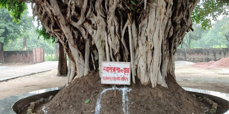 आगरा में बिचपुरी कृषि फॉर्म में 15 अगस्त 1947 को रोपे गए पौधे का नाम रखा था स्वतंत्रता