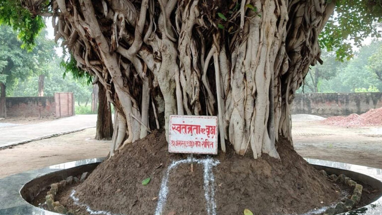 आगरा में बिचपुरी कृषि फॉर्म में 15 अगस्त 1947 को रोपे गए पौधे का नाम रखा था स्वतंत्रता