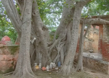 प्रकृति का पर्यावरण को सपोर्ट